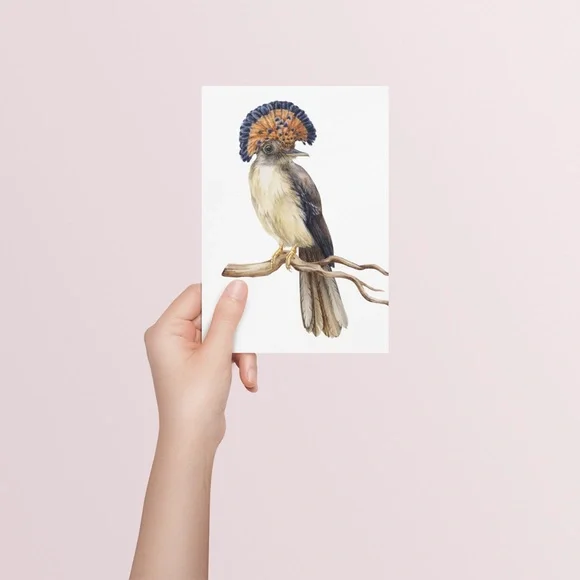 Flycatcher Bird Wall Art Watercolor Illustration Print Poster Card Unframed - Picture 6 of 7
